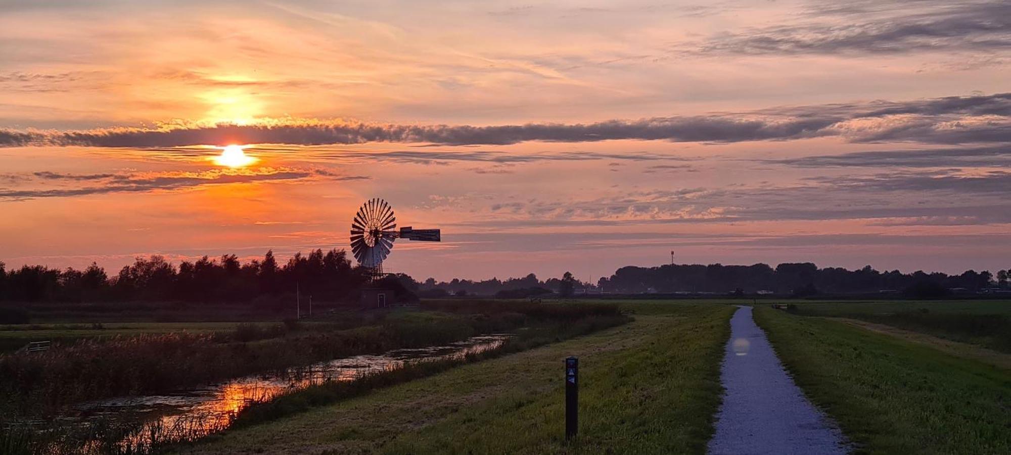 De Hoeve 4*